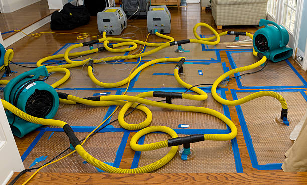 Professional Basement Flood Cleanup technician working in San Jose, CA